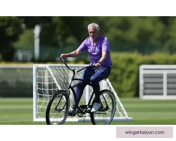 维特斯阵容深度分析：球队竞争力增强，值得关注的状态趋势