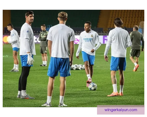 欧冠联赛VAR争议频发引发各方关注